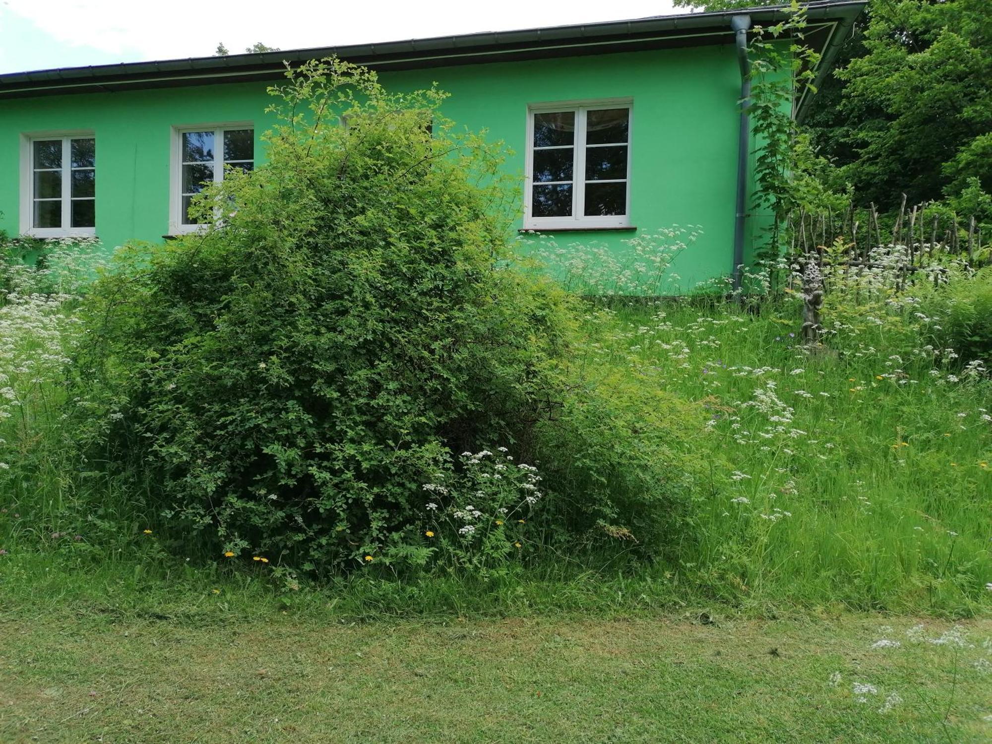 Kraeuterbaude Hotel Saupsdorf Eksteriør billede